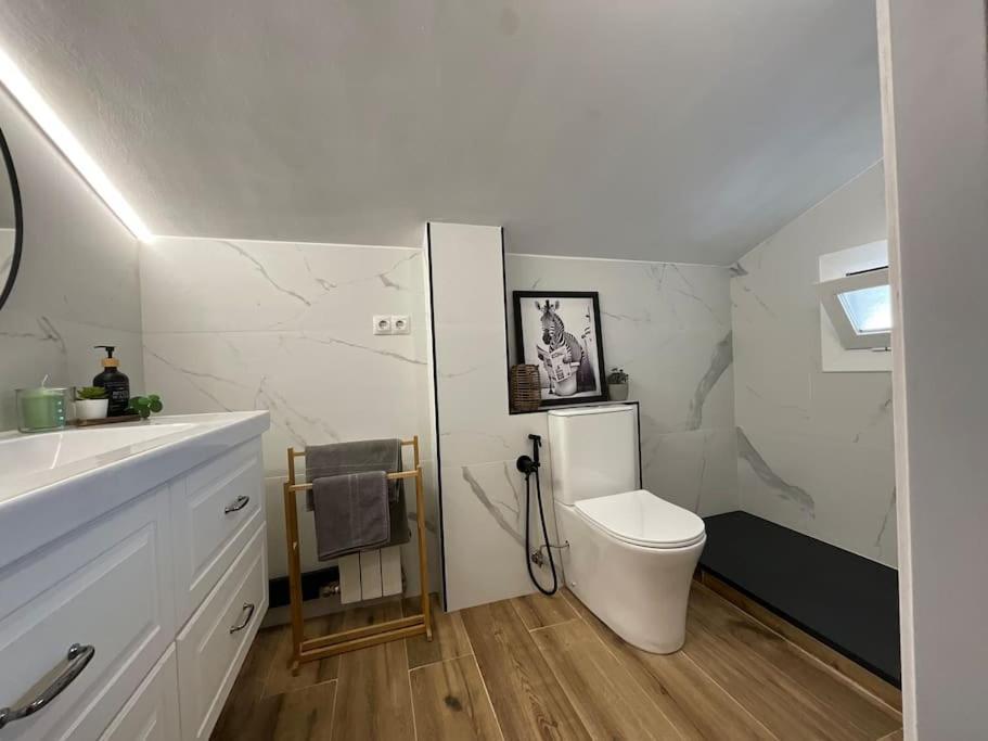 Escapada Apartman Puigcerdà Kültér fotó